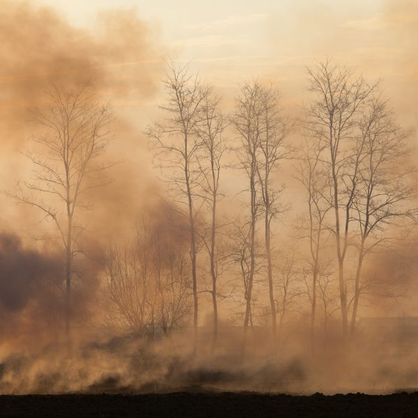 Par François Faure – Fondateur de RéseauCEP.